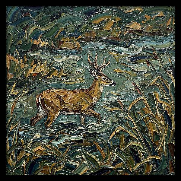 Marsh Deer Amidst Serene Reflections