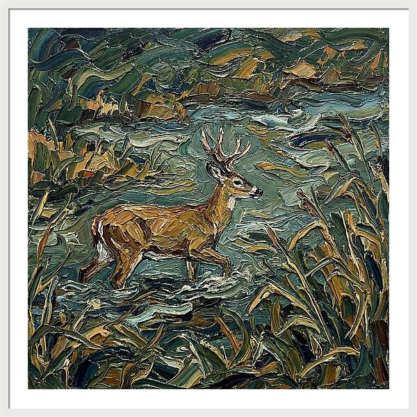 Marsh Deer Amidst Serene Reflections
