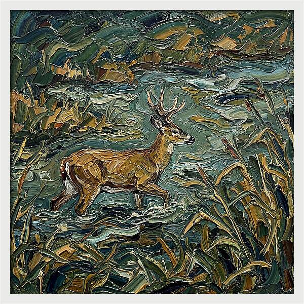 Marsh Deer Amidst Serene Reflections