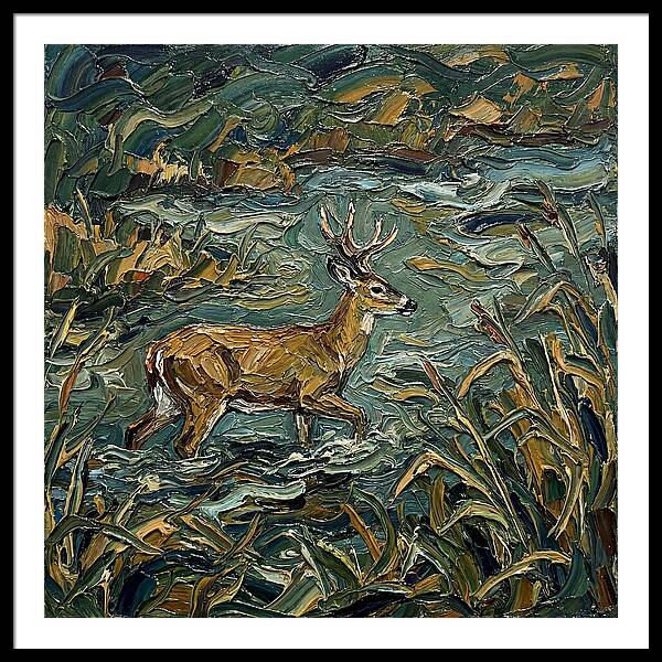 Marsh Deer Amidst Serene Reflections