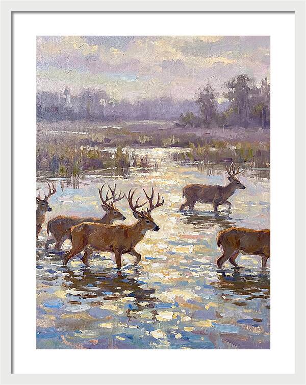 Marsh Deer Among Serene Reflections