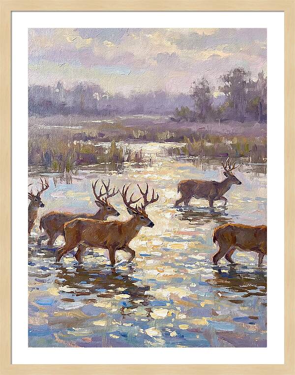Marsh Deer Among Serene Reflections