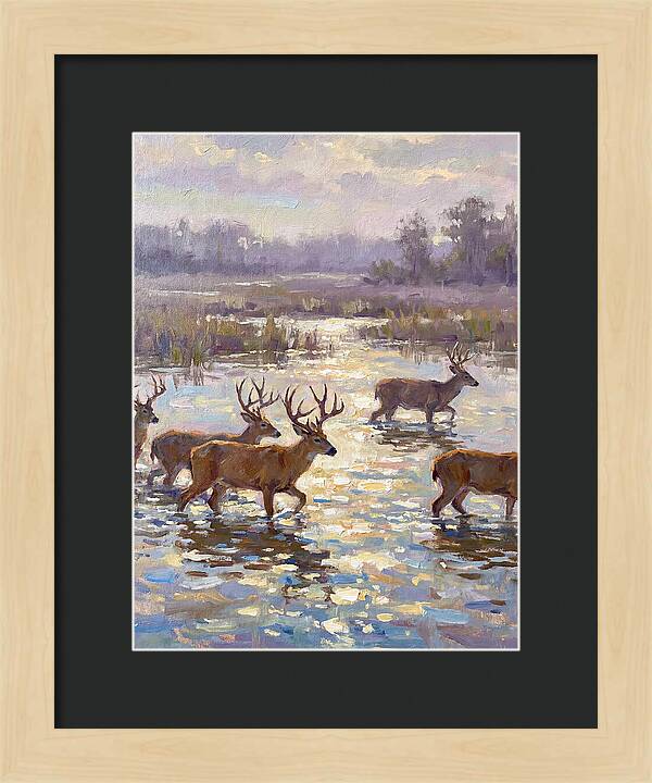 Marsh Deer Among Serene Reflections