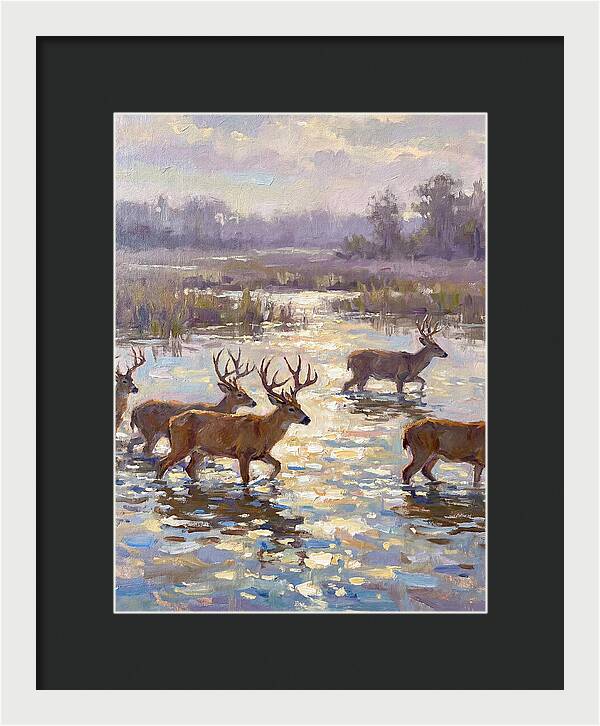 Marsh Deer Among Serene Reflections