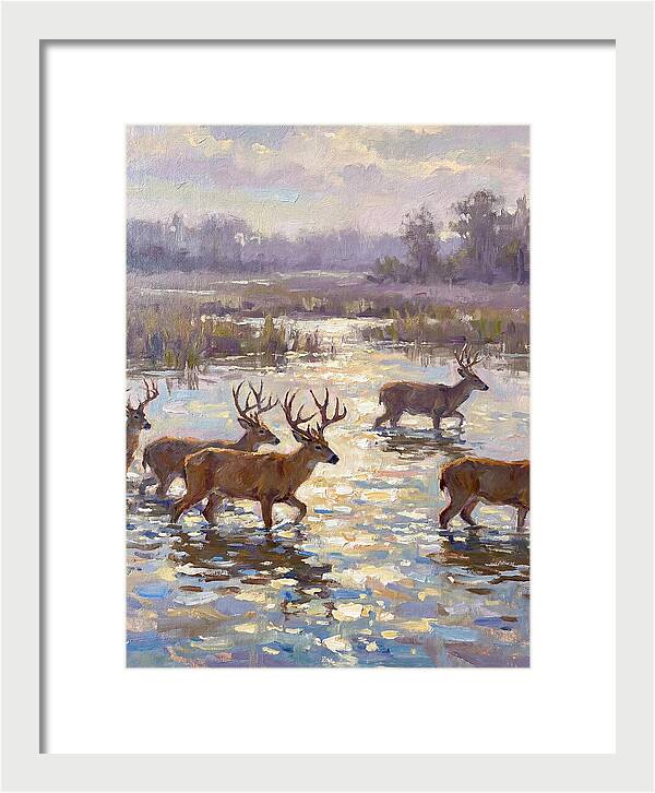 Marsh Deer Among Serene Reflections