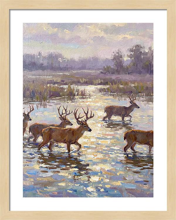Marsh Deer Among Serene Reflections