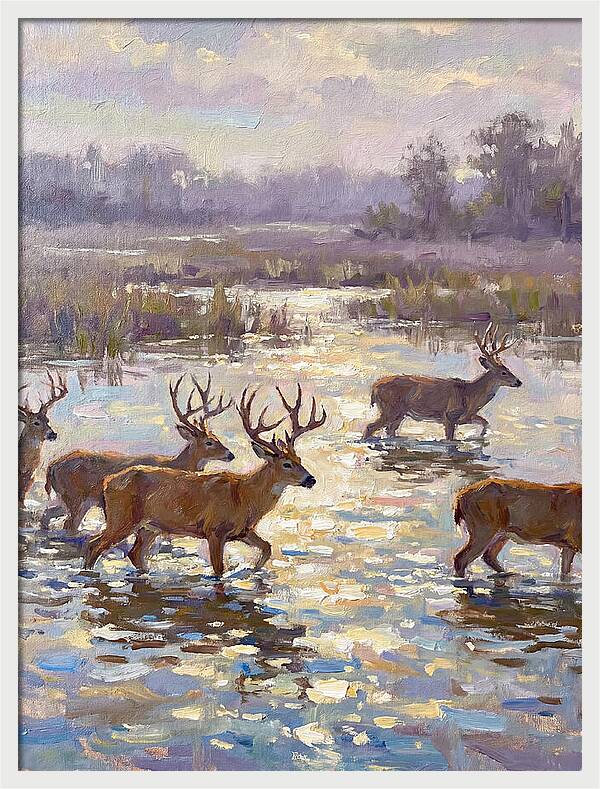 Marsh Deer Among Serene Reflections
