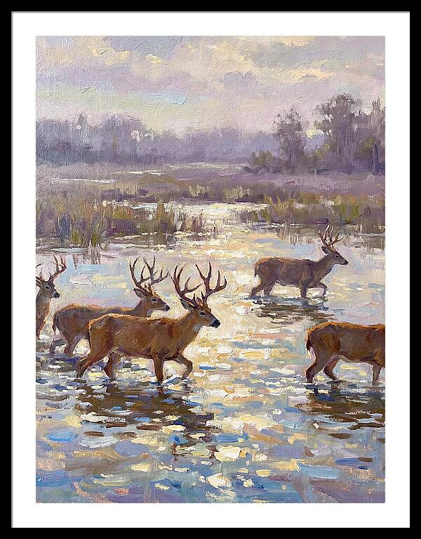 Marsh Deer Among Serene Reflections