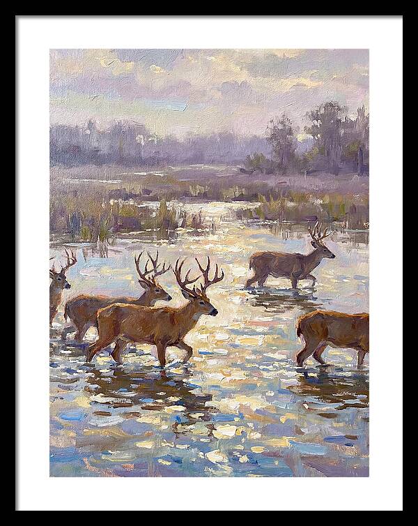 Marsh Deer Among Serene Reflections
