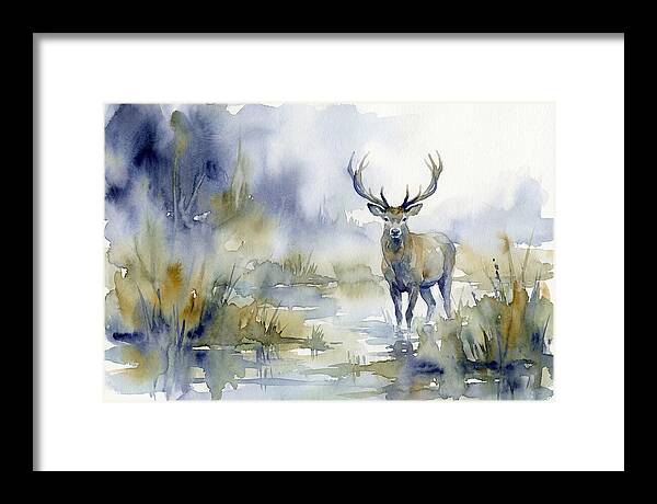 Marsh Deer In Misty Landscape