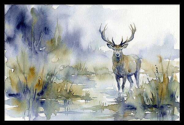 Marsh Deer In Misty Landscape