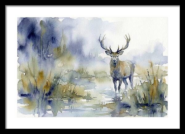 Marsh Deer In Misty Landscape