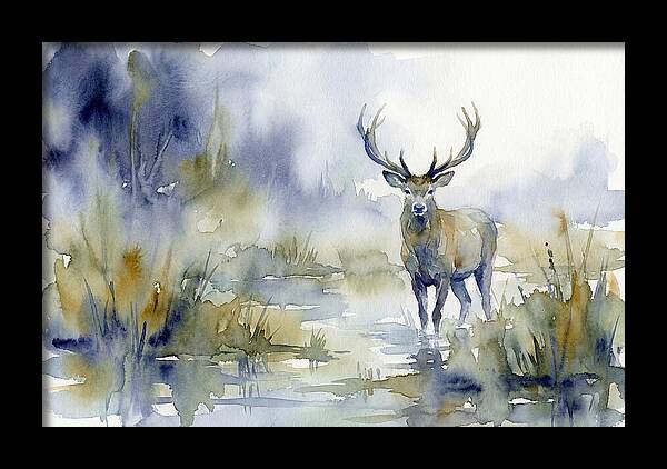 Marsh Deer In Misty Landscape