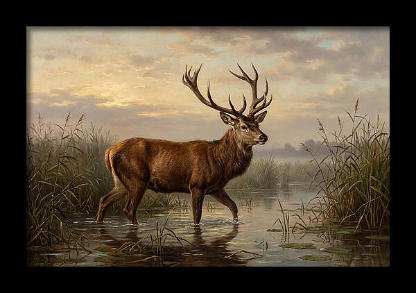 Marsh Deer In Tranquil Waters