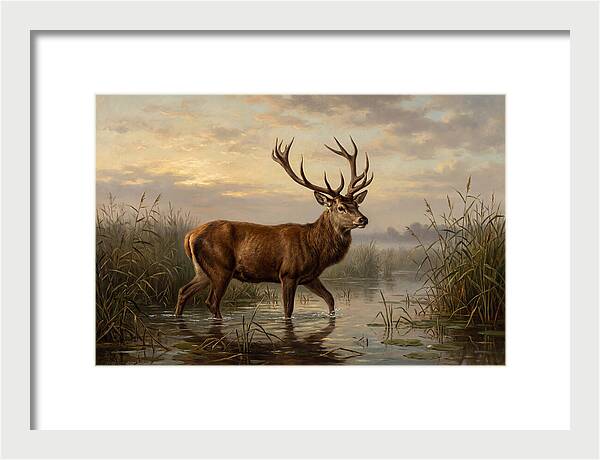 Marsh Deer In Tranquil Waters