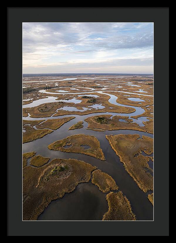 Marshland Channels From Above