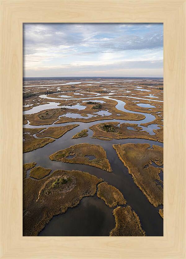 Marshland Channels From Above