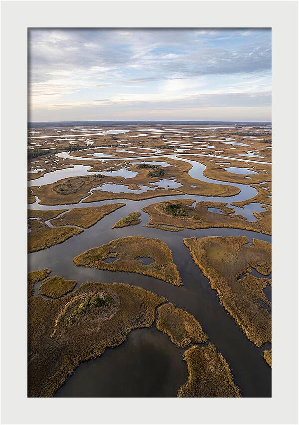 Marshland Channels From Above