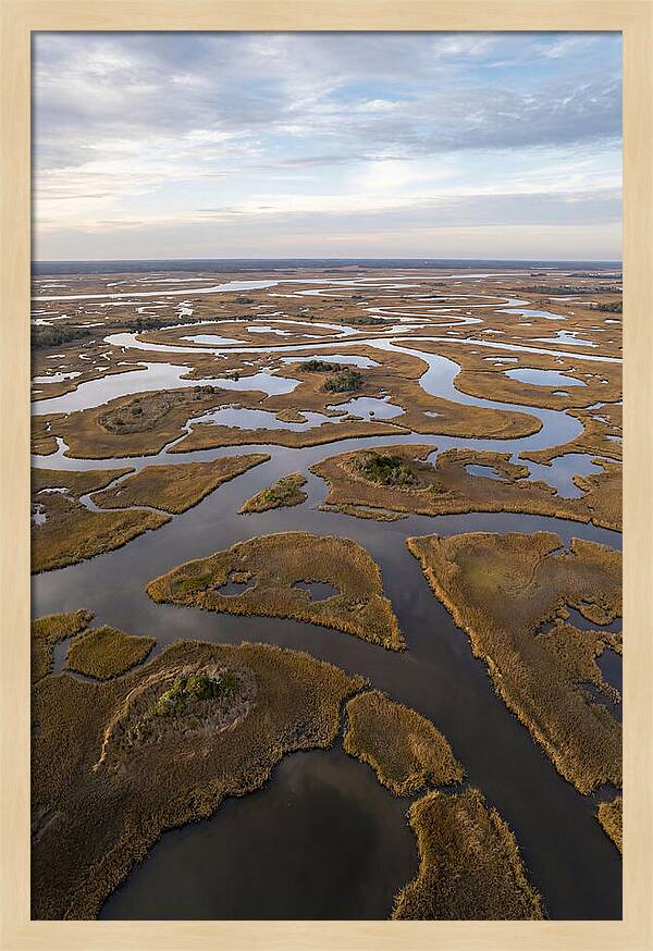 Marshland Channels From Above
