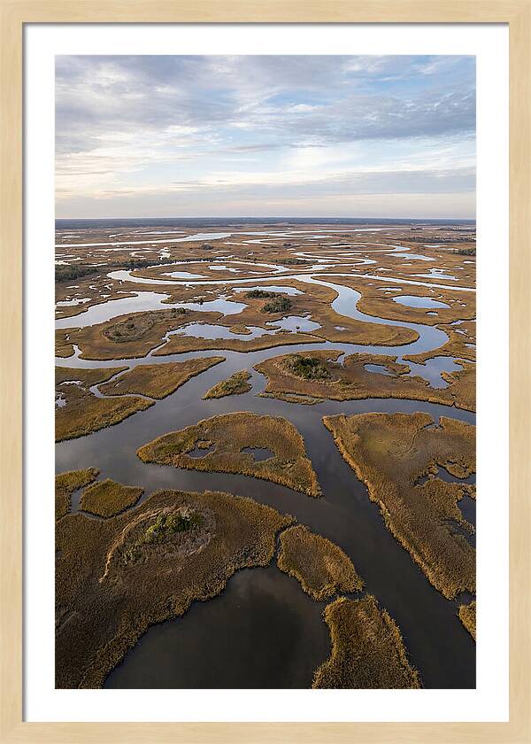 Marshland Channels From Above