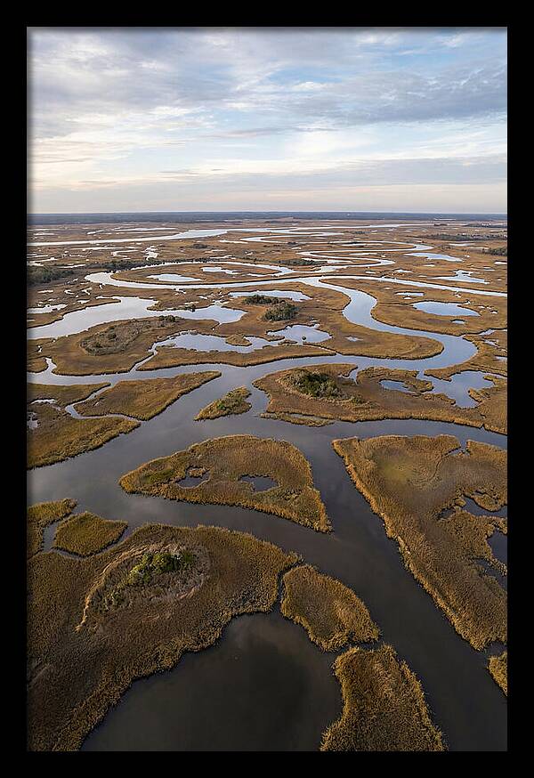 Marshland Channels From Above