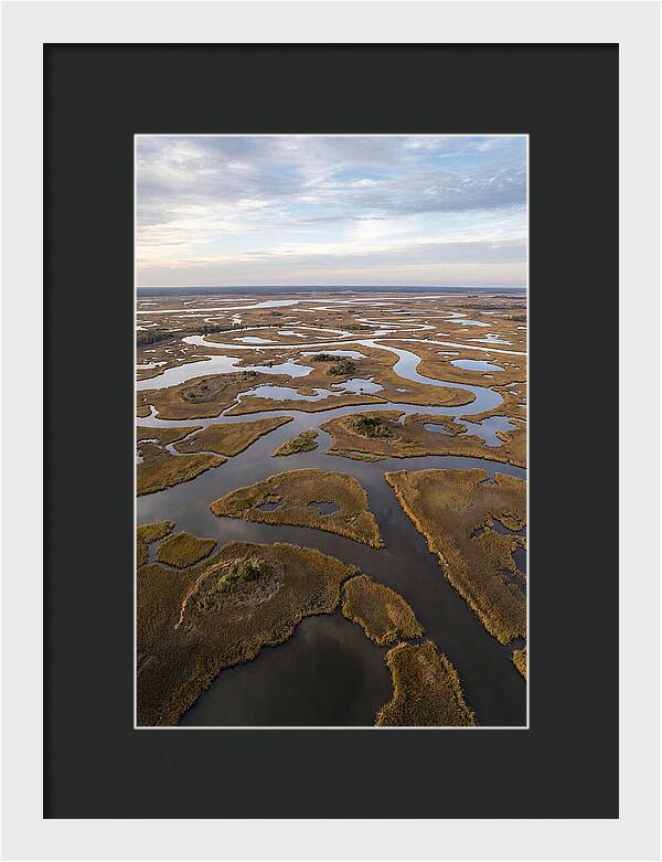 Marshland Channels From Above