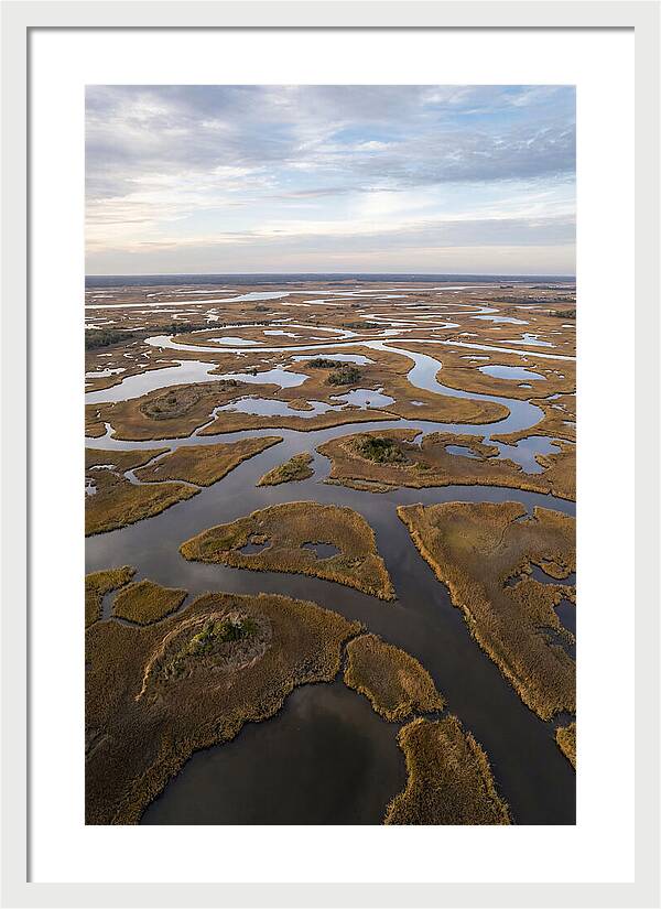 Marshland Channels From Above