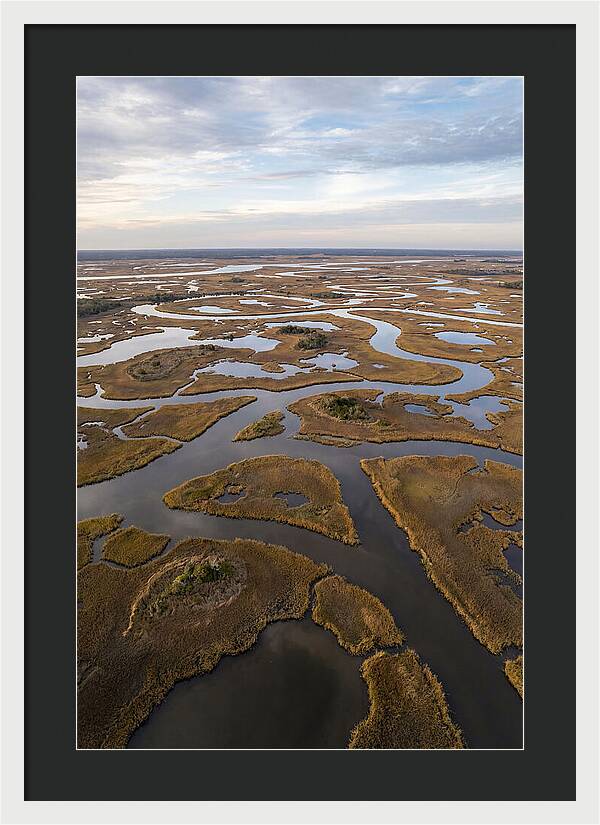 Marshland Channels From Above