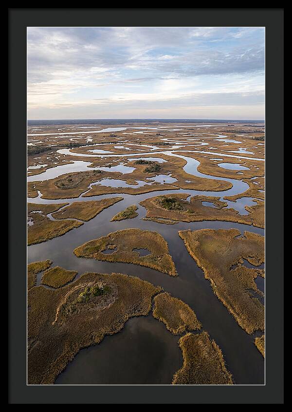 Marshland Channels From Above