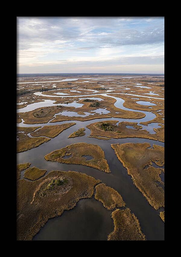 Marshland Channels From Above