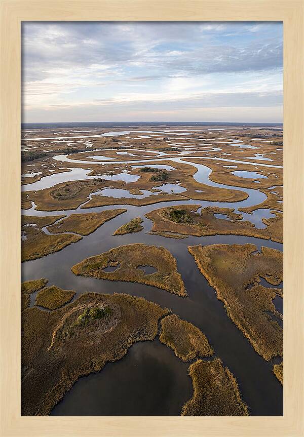 Marshland Channels From Above