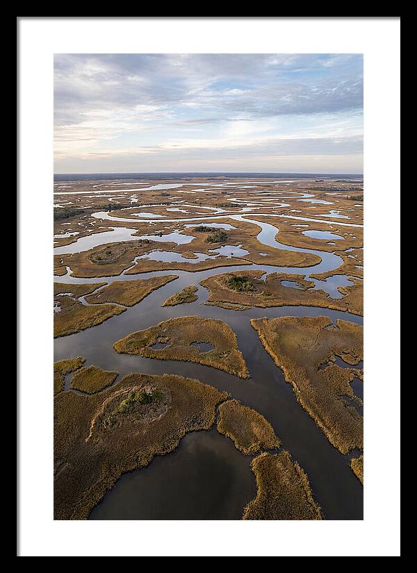 Marshland Channels From Above
