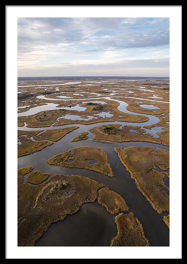 Marshland Channels From Above