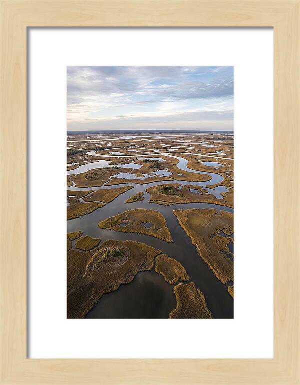Marshland Channels From Above