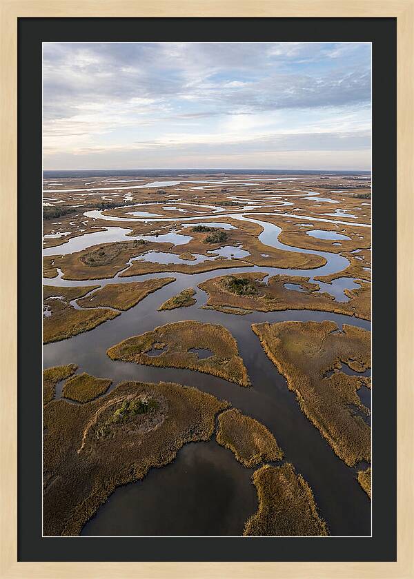 Marshland Channels From Above