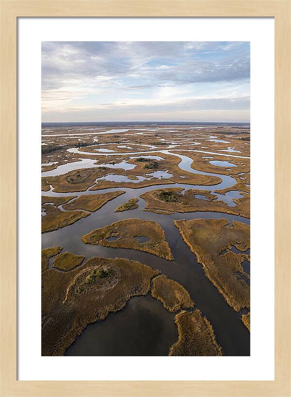 Marshland Channels From Above