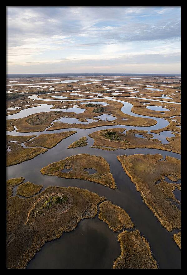 Marshland Channels From Above