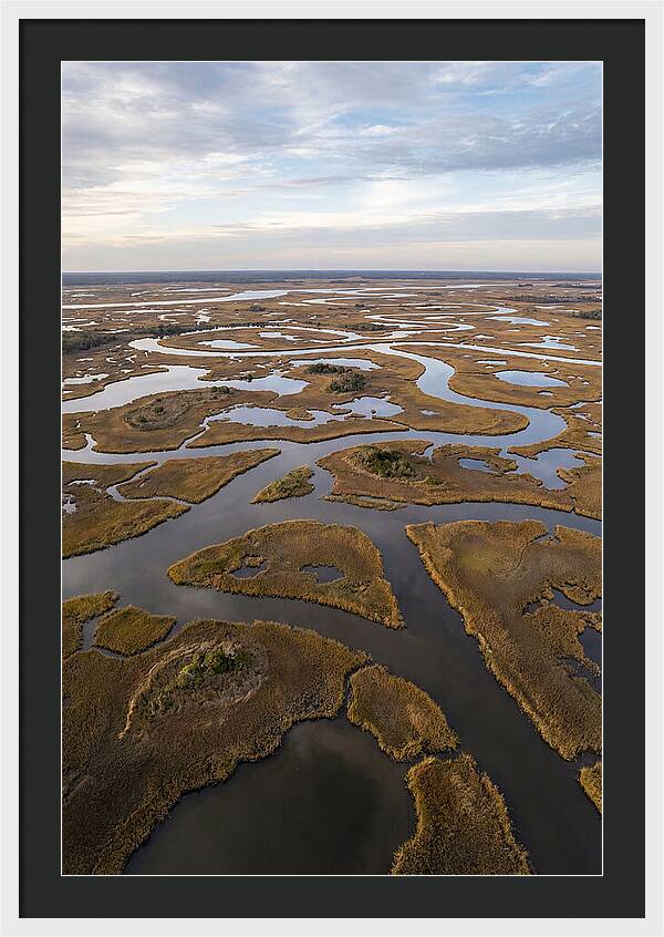 Marshland Channels From Above