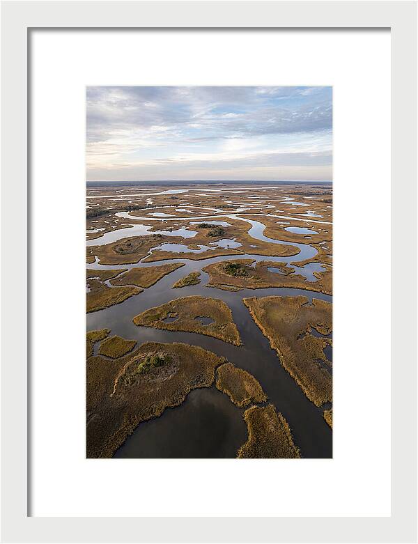Marshland Channels From Above