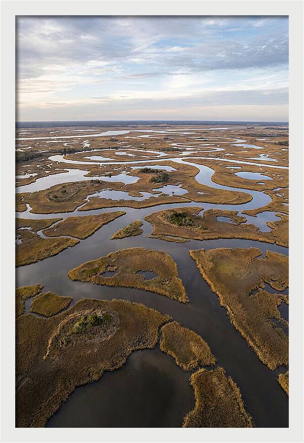Marshland Channels From Above