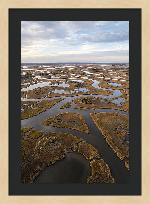 Marshland Channels From Above