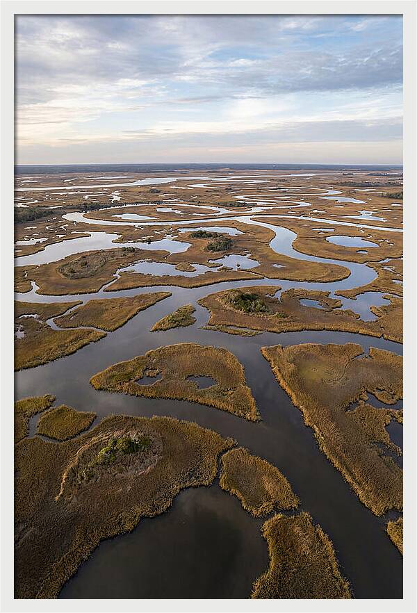 Marshland Channels From Above