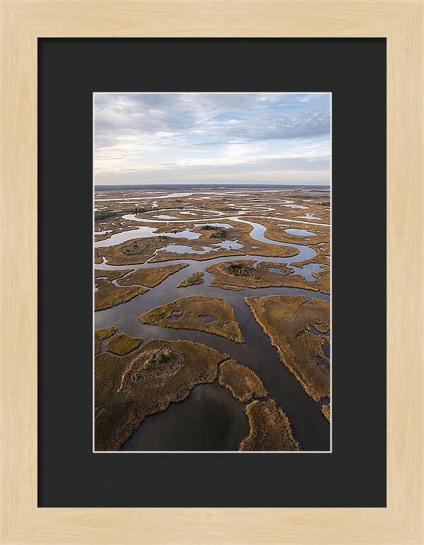 Marshland Channels From Above