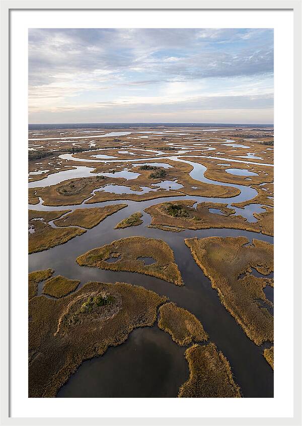 Marshland Channels From Above