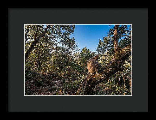 Maternal Bonding In Nature
