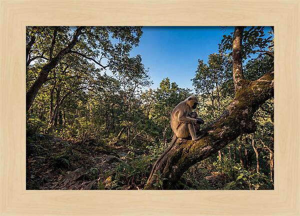 Maternal Bonding In Nature