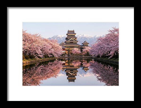 Matsumoto Castle Under Cherry Blossoms