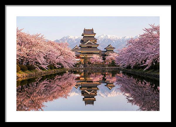 Matsumoto Castle Under Cherry Blossoms