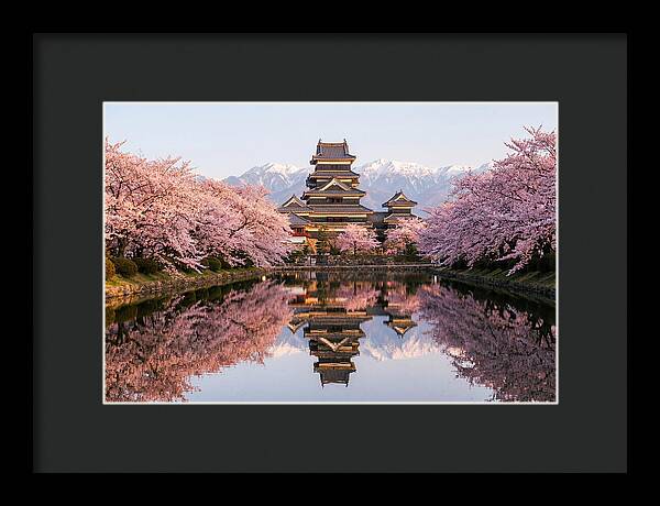 Matsumoto Castle Under Cherry Blossoms