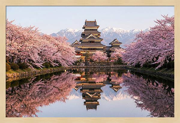 Matsumoto Castle Under Cherry Blossoms